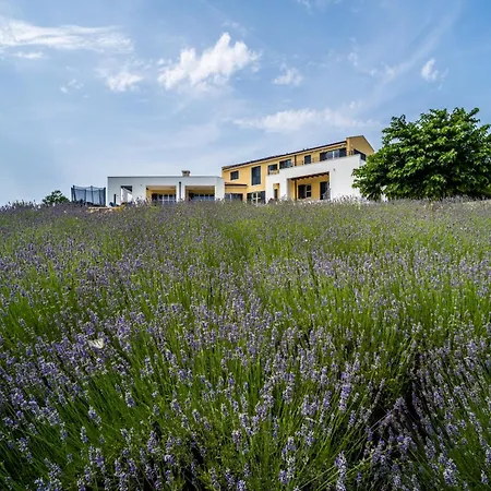 Arkaim With Private Pool Villa Filipana